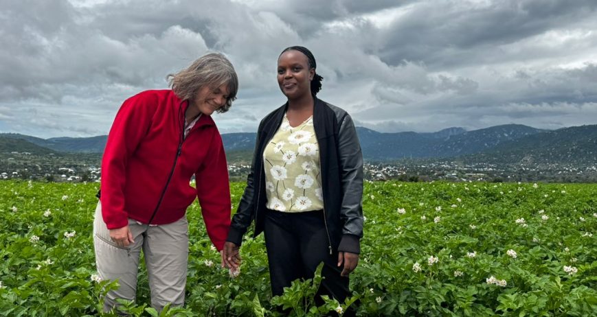 Cultivating organic vegetables through eco-friendly farming and mindful stewardship.