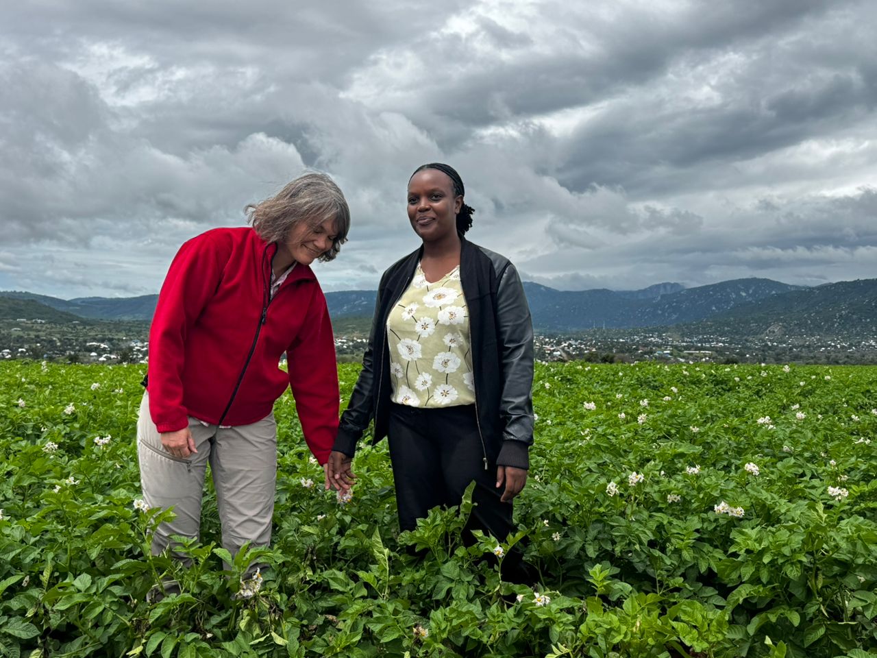Cultivating organic vegetables through eco-friendly farming and mindful stewardship.