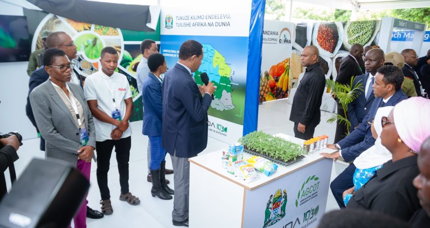 Apple Farming in Tanzania Takes Root, Creating a New Market and Opportunities for Farmers