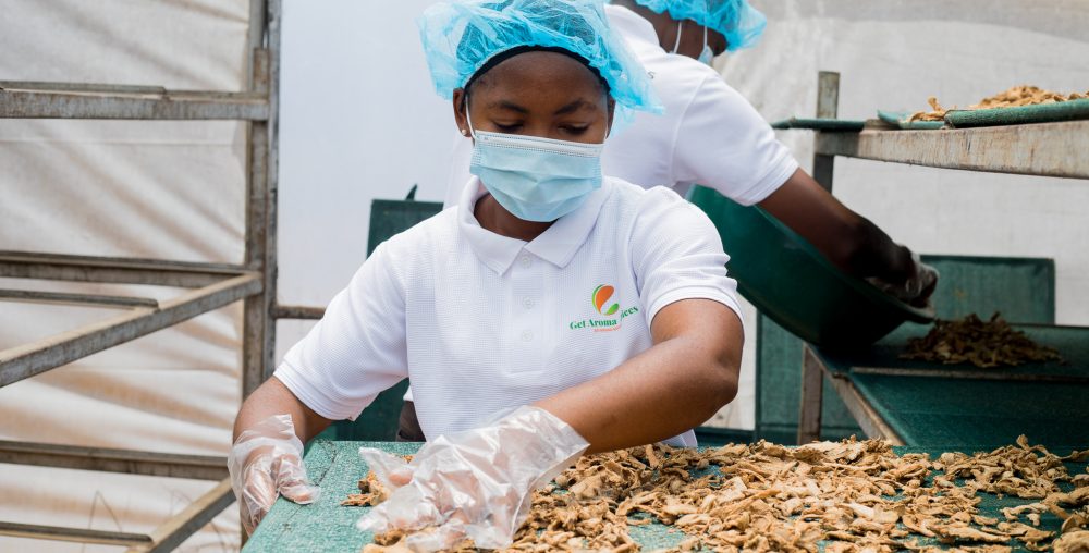 TADAA – Tanzania–Dutch Agribusiness Accelerator